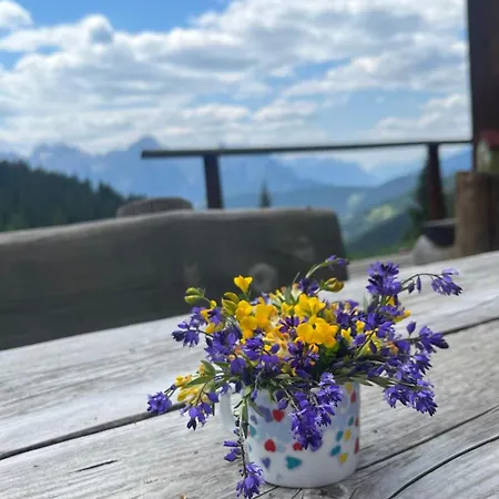 Da Katia Apartmán San Pietro di Cadore